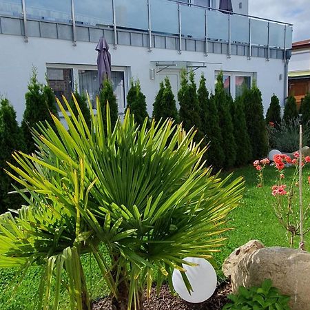 Ferienwohnungen "Godewind", Appartements Mit Balkon Oder Terrasse Zinnowitz Zewnętrze zdjęcie