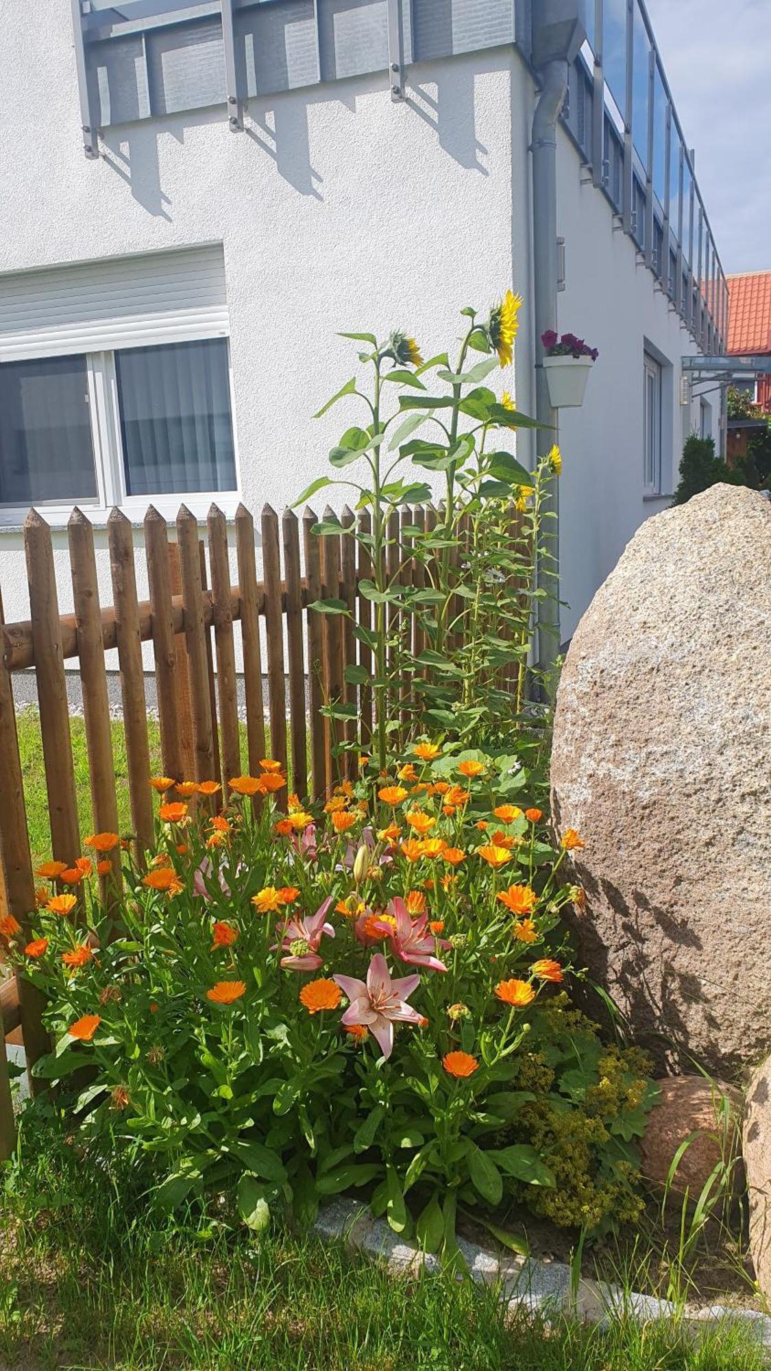 Ferienwohnungen "Godewind", Appartements Mit Balkon Oder Terrasse Zinnowitz Zewnętrze zdjęcie