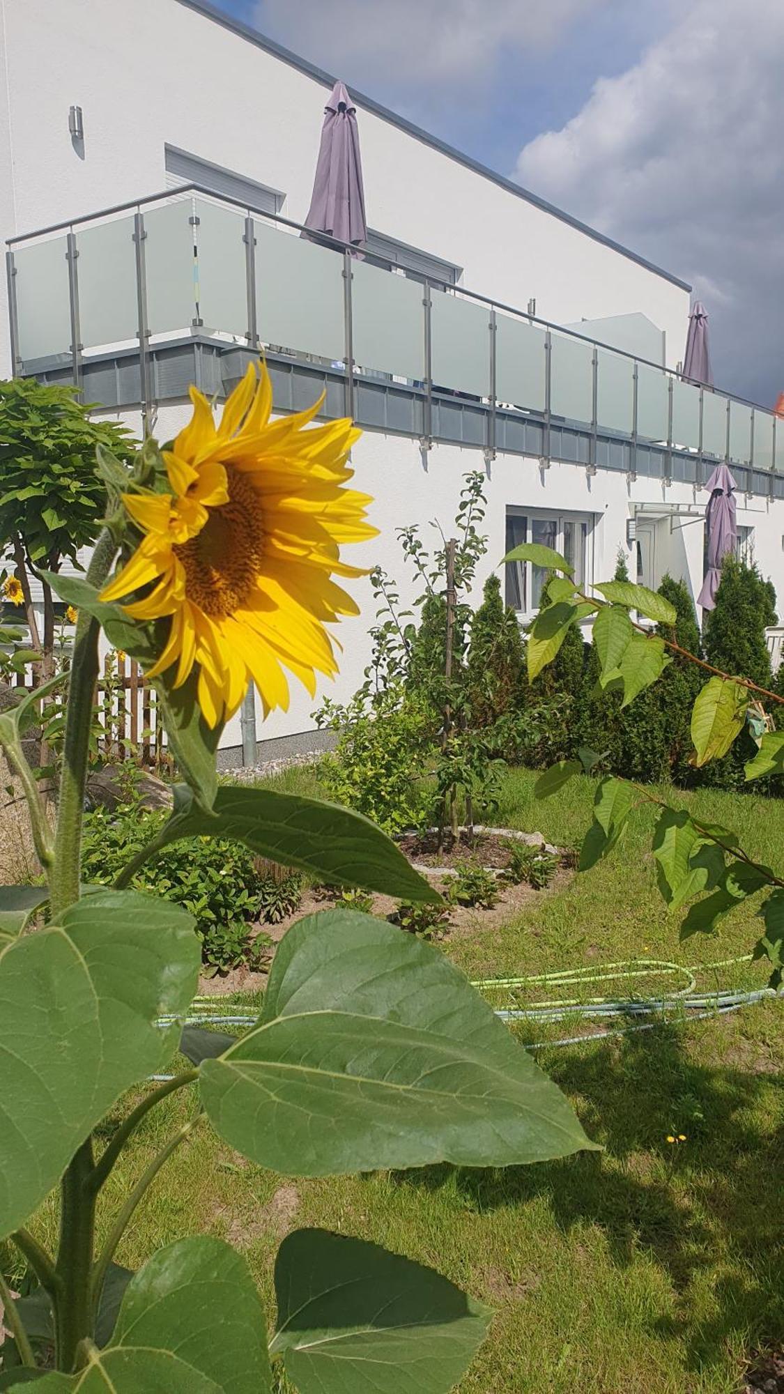 Ferienwohnungen "Godewind", Appartements Mit Balkon Oder Terrasse Zinnowitz Zewnętrze zdjęcie
