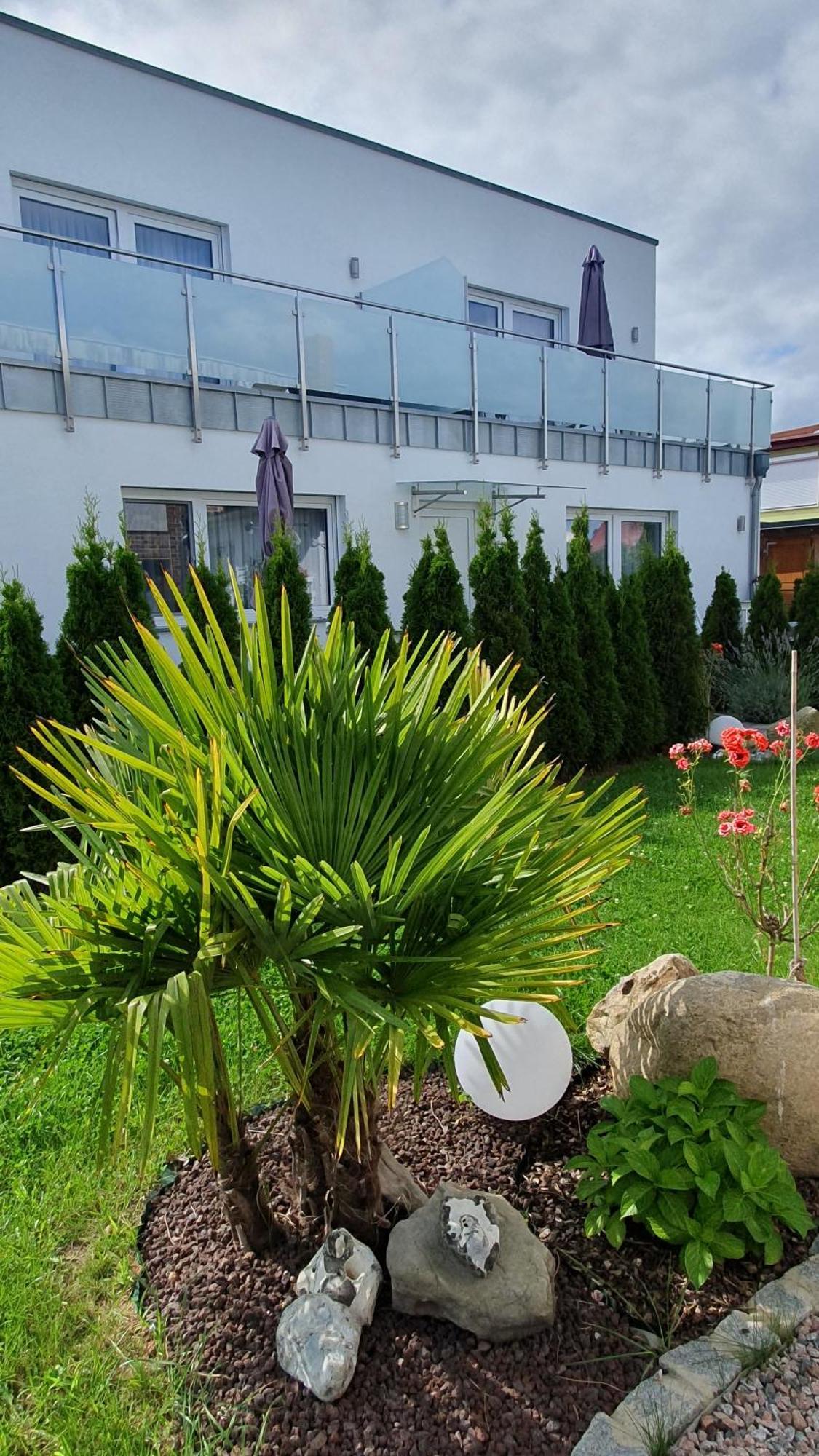 Ferienwohnungen "Godewind", Appartements Mit Balkon Oder Terrasse Zinnowitz Zewnętrze zdjęcie